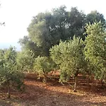 Appartement S&m, Large Apartment, Quiet Countryside Orosei