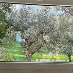 S&m, Large Apartment, Quiet Countryside *