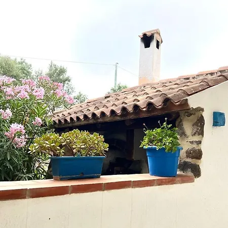S&m, Large Apartment, Quiet Countryside Orosei